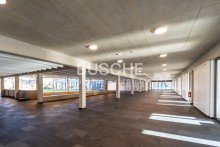 Eingangshalle EG Wissenschaftspark || ca. 652 m� helle B�rofl�che || New Work || Hochwertige Austattung