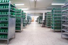 Lager MS-Mecklenbeck || 927 m� Lager-/Dienstleistungsfl�chen || frei ab 01.01.2026